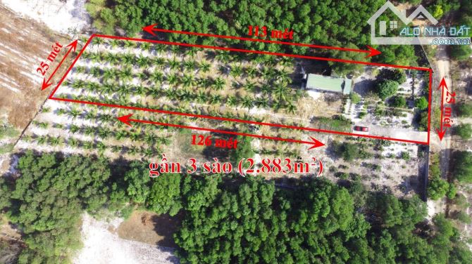 Đất 2.883m2  có nhà cấp 4 gần 100m² , vườn trái cây, vườn dừa, cách Lý Nam Đế 750m. - 4