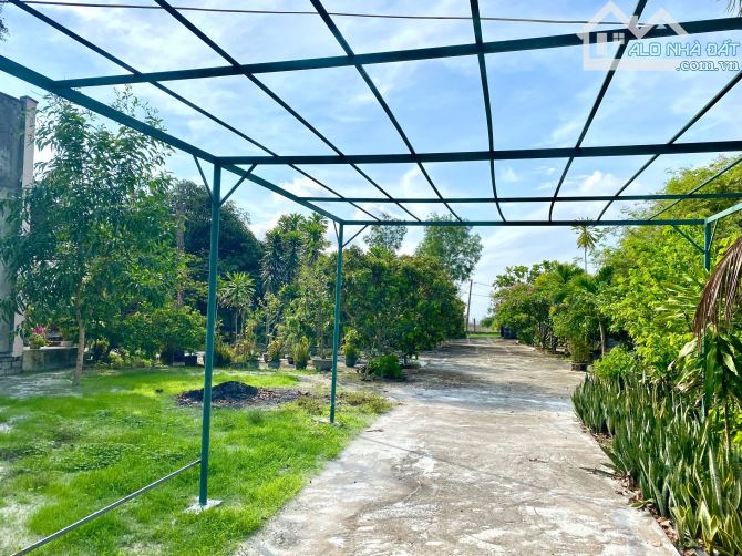 Đất 2.883m2  có nhà cấp 4 gần 100m² , vườn trái cây, vườn dừa, cách Lý Nam Đế 750m. - 5