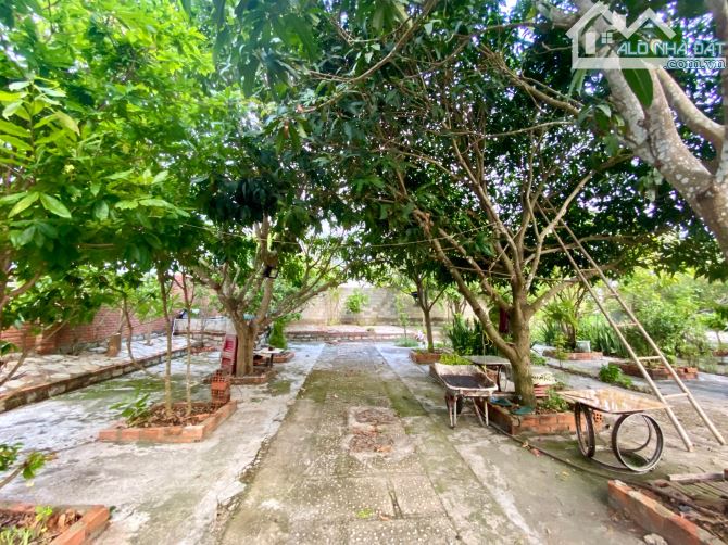 Đất 2.883m2  có nhà cấp 4 gần 100m² , vườn trái cây, vườn dừa, cách Lý Nam Đế 750m. - 6