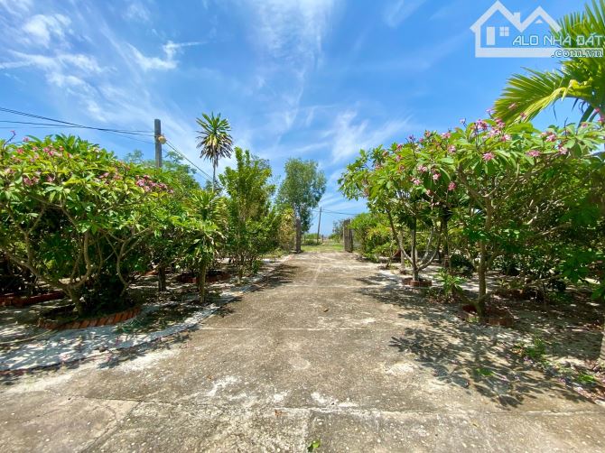 Đất 2.883m2  có nhà cấp 4 gần 100m² , vườn trái cây, vườn dừa, cách Lý Nam Đế 750m. - 8