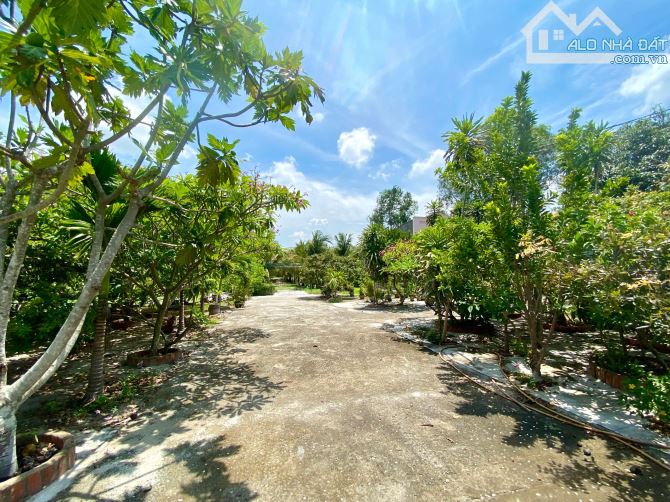Đất 2.883m2  có nhà cấp 4 gần 100m² , vườn trái cây, vườn dừa, cách Lý Nam Đế 750m. - 9