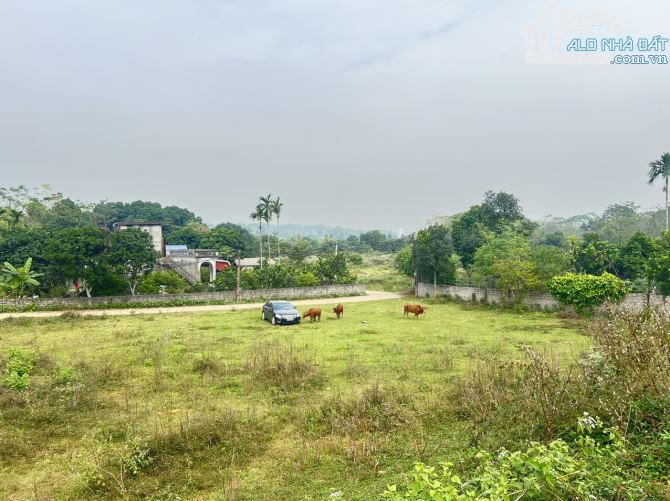 BÁN GẤP 2736M HỢP HÒA ,LƯƠNG SƠN ,HÒA BÌNH ,ĐẤT ĐẸP PHẲNG NHƯ SÂN BÓNG - 9