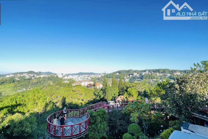Bán lô đất trên đỉnh đồi View tại Đà Lạt, đang kd du lịch gần 7000m2, mặt tiền đường lớn