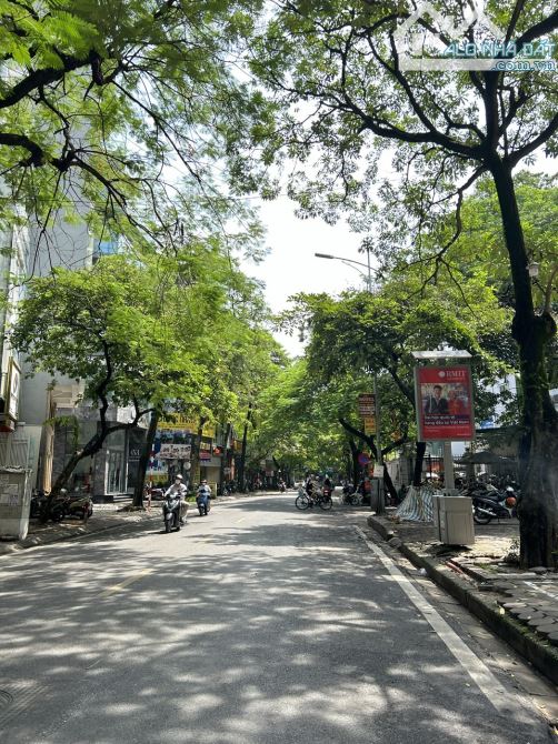 Phân lô Nguyên Hồng 55m2 x Mt 4m khu bàn cờ 1 nhà ra phố đẹp nhất Đống Đa.