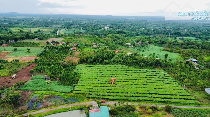 Bán đất tại huyện Cư Mgar daklak - 1