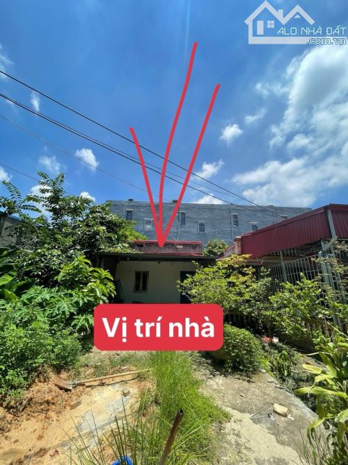 Bán 76m2 đất Đẩu Vũ, Văn Đẩu, Kiến An.  Giá chỉ 1,15 tỷ . Ngõ ô tô thoải mái - 2