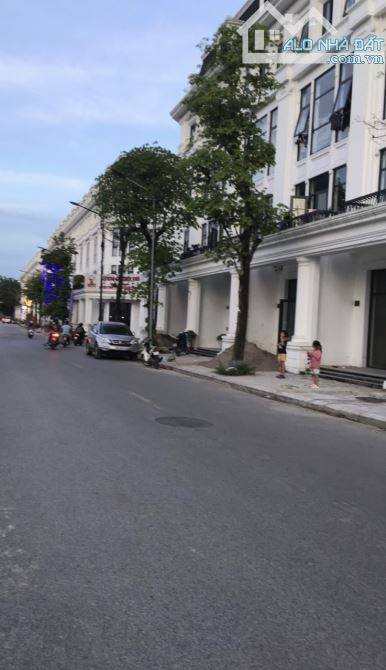 Bán căn biệt thự Louis City Hoàng Mai, Hà Nội - 2