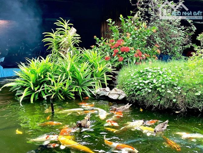 Bán đất đường Thống Nhất 774m 18x43 chỉ 85 tỷ Phường 16 Quận Gò Vấp - 3