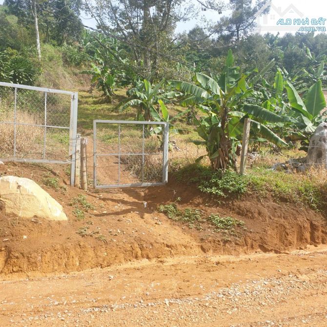 Bán vườn sầu riêng sau lưng UBND xã Lộc Thành. Cách Quốc lộ 55 chỉ 1,3km - 1