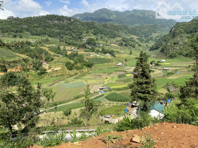 Cần bán mảnh đất 10.000m2 gần ngay trường Lê Văn Tám TP Sapa Lào Cai - 1