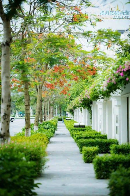 BÁN CĂN BIỆT THỰ SONG LẬP AN LẠC GREEN SYMPHONY VÂN CANH HOÀI ĐỨC HÀ NỘI - 6