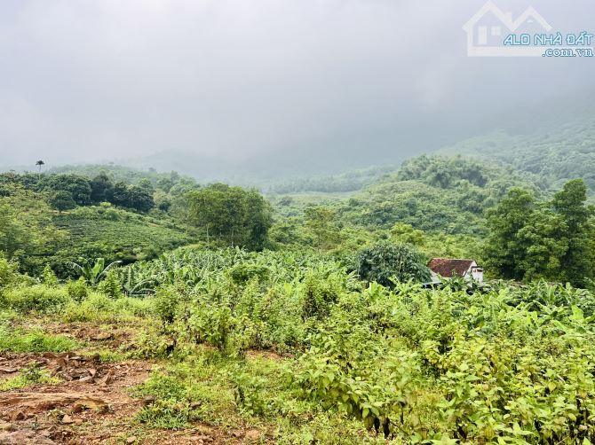 1200M2 ( 6,5 TRIỆUM2 ) VIEW THOÁNG  CỰC ĐẸP CỰC CHILL - 1