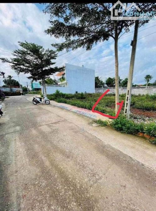 cần bán lô đất gần bện viện Thiện Hạnh, trường chuyên Nguyễn Du hẻm 92 Nguyễn Xuân Nguyên - 1