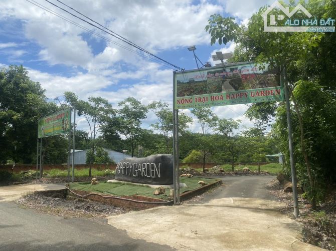 Bán nhanh đất vườn ven Suối Tp Đồng Xoài Bình Phước 500 m2 - 3
