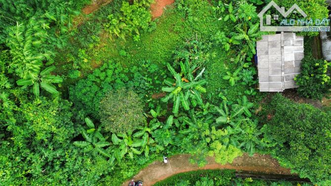 508m Sổ Công Chứng - Bám Đường Bê Tông - Giá: 490 Triệu- Hợp Lý Đầu Tư Cất Sổ Vào Két - 3