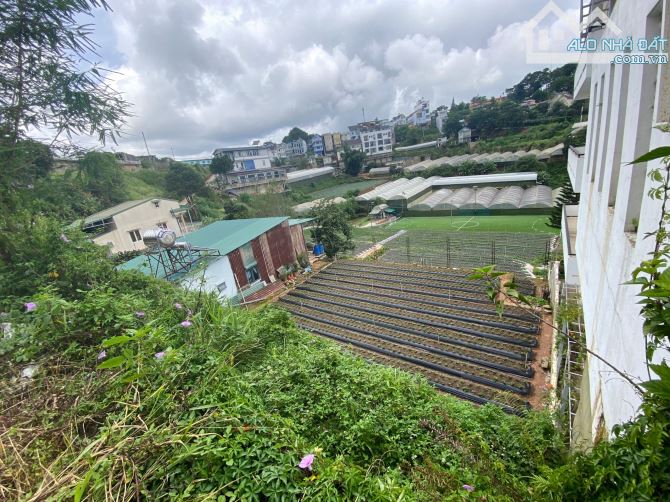 Bán đất mặt tiền đường nhữa đồi huy hoàng phường 8 đà lạt - 3