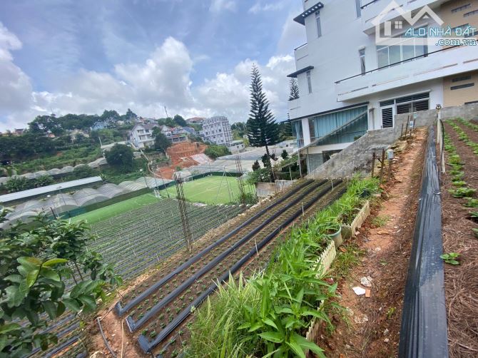 Bán đất mặt tiền đường nhữa đồi huy hoàng phường 8 đà lạt - 4