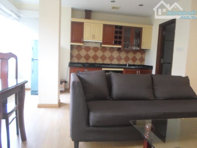 Cho thuê căn hộ chung cư đủ tiện nghi phố Nguyễn Huy Tự, Lê Quý Đôn - 1