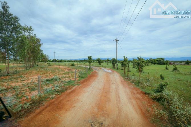 Hàng ngộp 85k/m2 ngay đường nhựa 32m xuống biển Hoà Thắng, sổ hồng riêng, đường trên sổ - 2