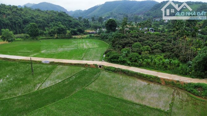🔆 350m Full Đất Ở Khu Đông Dân Cư - 7m Đường Nhựa Liên Xã 🔆 - 2