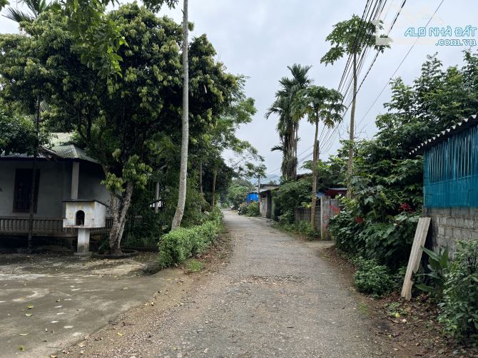🔆 350m Full Đất Ở Khu Đông Dân Cư - 7m Đường Nhựa Liên Xã 🔆 - 3