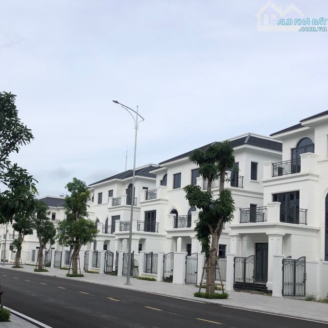 Quỹ căn ưu tiên Central Riverside Thanh Hoá - Vị trí trung tâm, giá và chiết khấu tốt nhất - 5