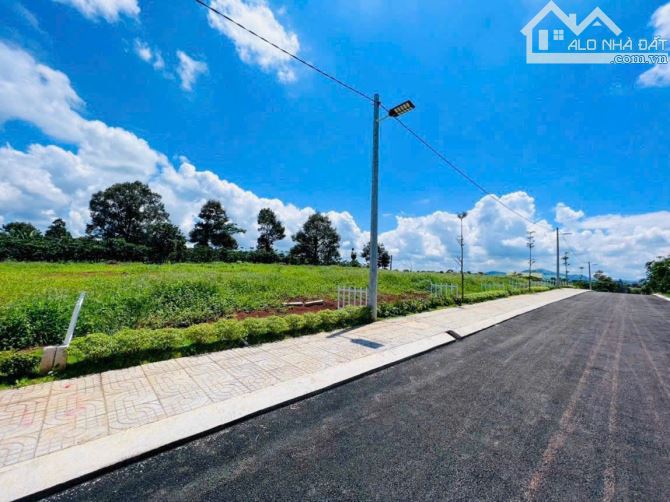 🌼🌼THANH LÝ LÔ ĐẤT BIỂN CỬA VIỆT 250M2 (10 X 25) ĐẤT Ở ĐÔ THỊ - 458 TRIỆU/LÔ - ĐƯỜNG Ô TÔ