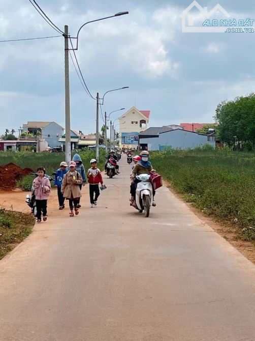 Tổng hợp tất cả giỏ hàng Khu dân cư Phú Lộc - giá đầu tư rẻ hơn thị trường 50 triệu - 1