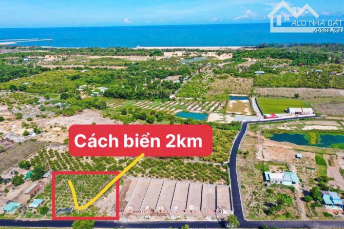 Bán nhanh lô đất Vuông như Bánh trưng 2378m2-42x57m Cách VT-BC chỉ 500m - 1