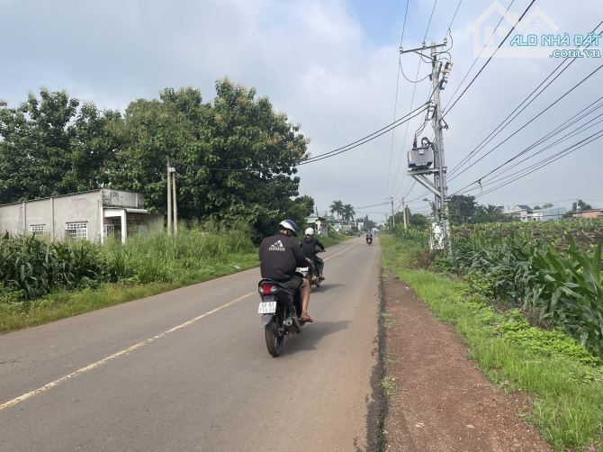 bán 1 lô đất mặt tiền đường nhựa nguyễn hoàng , xã thanh bình, huyện trảng bom, đồng nai - 2