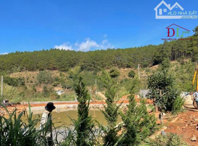 🏞🏡🏔 BIỆT THỰ SÂN VƯỜN 12.030M2 - HAI MẶT TIỀN ĐƯỜNG NHỰA - THÍCH HỢP ĐẦU TƯ NGHỈ DƯỠNG - 3