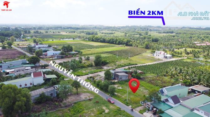 13.08x58(791.8m2) Nguyễn Thông Tân Bình LaGi Gần Biển Giá 210tr/m Ngang - 3