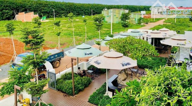 Tổng hợp tất cả giỏ hàng Khu dân cư Phú Lộc - giá đầu tư rẻ hơn thị trường 50 triệu - 4