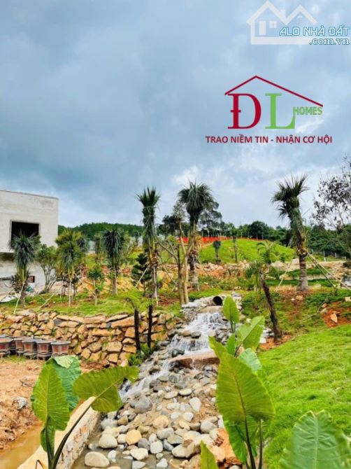 🏞🏡🏔 BIỆT THỰ SÂN VƯỜN 12.030M2 - HAI MẶT TIỀN ĐƯỜNG NHỰA - THÍCH HỢP ĐẦU TƯ NGHỈ DƯỠNG - 5