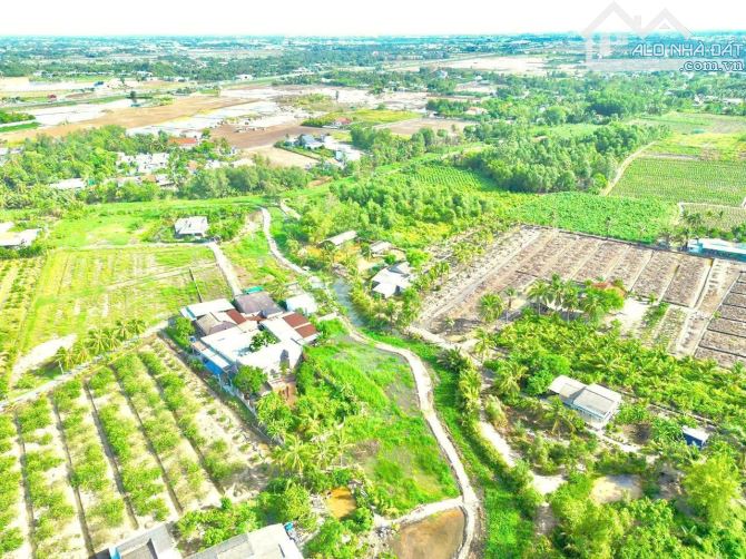 Hàng Vip, 1000m2 đất chuyển thổ đường nhựa, chỉ 1.5 tỷ - 8