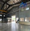 Cho thuê Xưởng 7000m2 giá 420 triệu KCN Long Bình-Biên Hòa-Đồng Nai