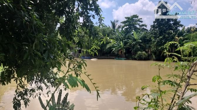 1,24 Hecta View Sông, Kp4- Tân Minh- Hàm Tân- Bình Thuận.