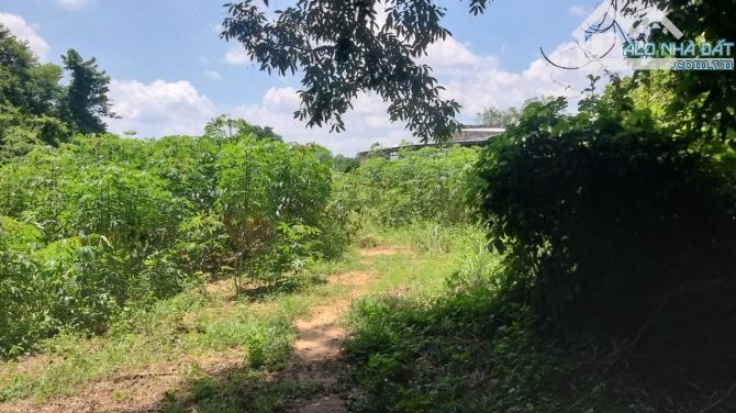 1,24 Hecta View Sông, Kp4- Tân Minh- Hàm Tân- Bình Thuận. - 10