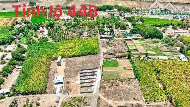 2000m2 sẵn 300m thổ cư cách TL 44B chỉ 200m giá 5 tỷ 700 - 1