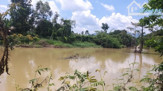 1,24 Hecta View Sông, Kp4- Tân Minh- Hàm Tân- Bình Thuận. - 12