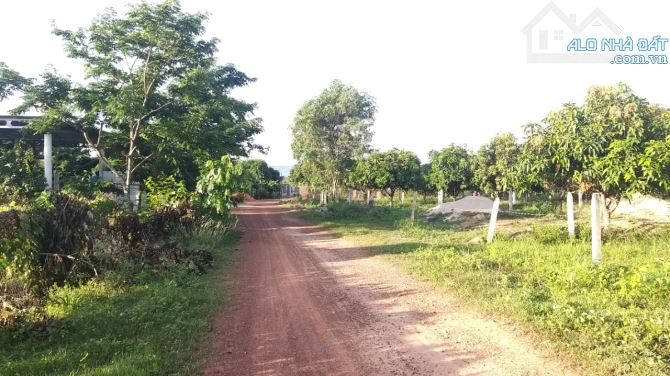 1,24 Hecta View Sông, Kp4- Tân Minh- Hàm Tân- Bình Thuận. - 4