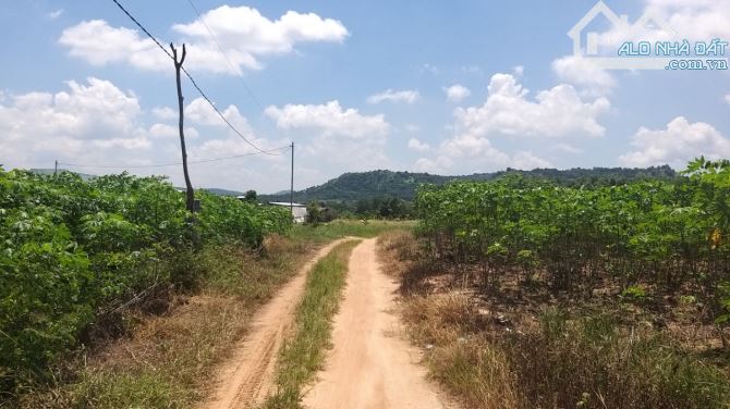 1,24 Hecta View Sông, Kp4- Tân Minh- Hàm Tân- Bình Thuận. - 6