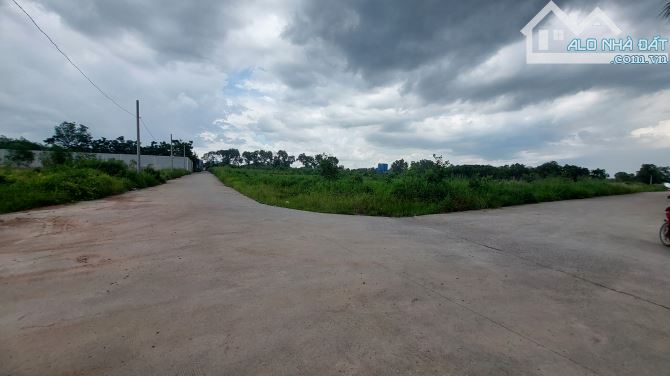 Cho thuê 23.000m2 đất Phước Tân. Gần đường Võ Nguyên Giáp. KCN Giang Điền. giá rẻ - 6