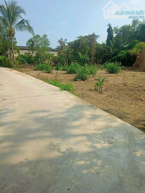 Đất hẻm đường Nguyễn Thị Hạnh, P6, TP Tân An