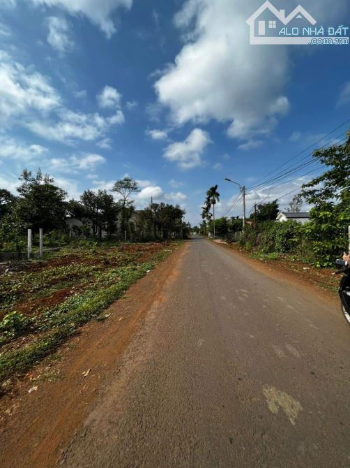 BÁN ĐẤT ĐƯỜNG NHỰA A6 MẬU THÂN, SAU CHỢ ĐẦU MỐI TÂN HOÀ