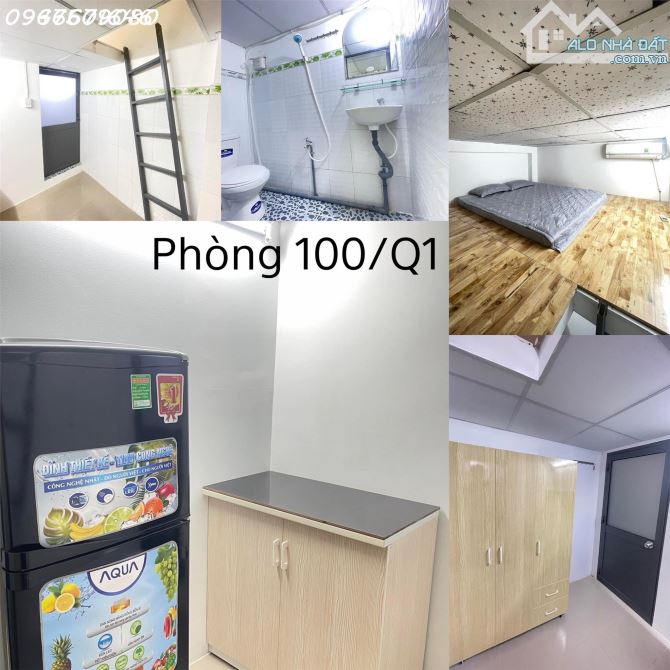 CHO THUÊ CHDV ĐƯỜNG TRẦN QUÝ CÁP - QUẬN BÌNH THẠNH - TP.HCM - 1