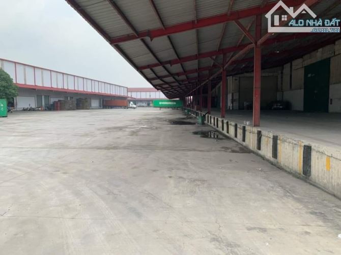 cho thuê kho 15000m2 đường 743 TP THUẬN AN - 1