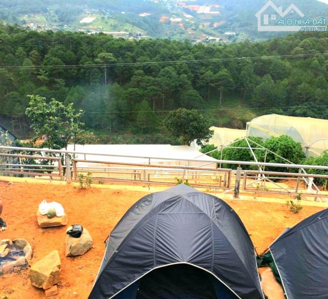 Bán đất ngộp view đẹp rừng thông khu dân cư trung tâm, đi Hồ Xuân Hương hơn 2km - 2