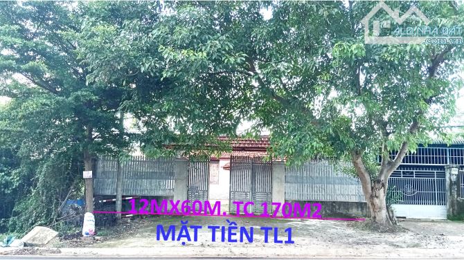 Bán nhà gỗ- mặt tiền Tl1- tp. Bmt - 4