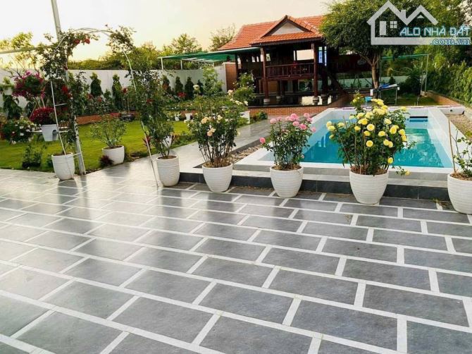 Nhà vườn đến 1234m2 mặt tiền đường xe hơi thông,trung tâm TP Vũng Tàu - 3